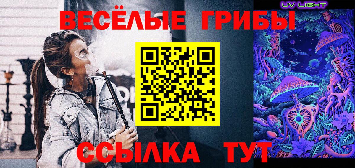 Галлюциногенные грибы Psilocybe  Вход с VPN  Дзержинский 